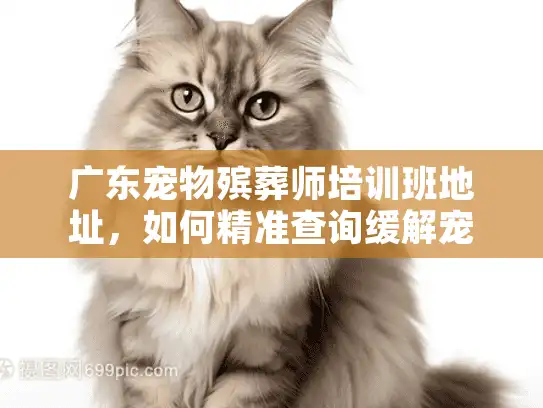 广东宠物殡葬师培训班地址，如何精准查询缓解宠物告别悲伤？