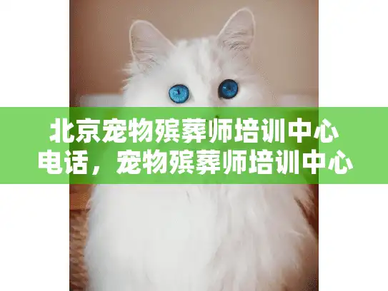 北京宠物殡葬师培训中心电话，宠物殡葬师培训中心电话怎么找最安心？