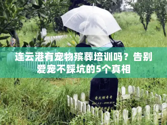 连云港有宠物殡葬培训吗？告别爱宠不踩坑的5个真相