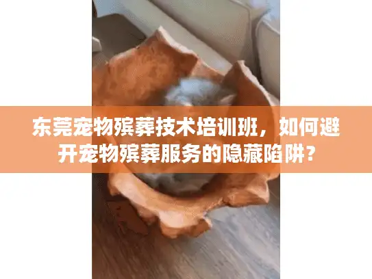 东莞宠物殡葬技术培训班，如何避开宠物殡葬服务的隐藏陷阱？