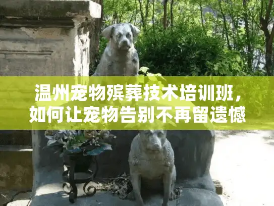 温州宠物殡葬技术培训班，如何让宠物告别不再留遗憾？