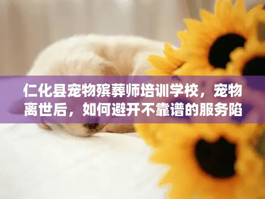 仁化县宠物殡葬师培训学校，宠物离世后，如何避开不靠谱的服务陷阱？