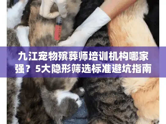 九江宠物殡葬师培训机构哪家强？5大隐形筛选标准避坑指南