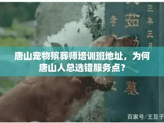 唐山宠物殡葬师培训班地址，为何唐山人总选错服务点？