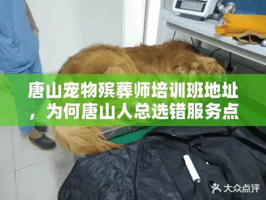 唐山宠物殡葬师培训班地址，为何唐山人总选错服务点？