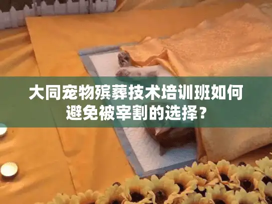 大同宠物殡葬技术培训班如何避免被宰割的选择？