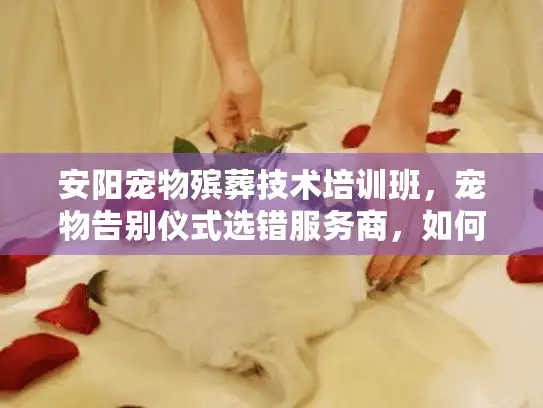 安阳宠物殡葬技术培训班，宠物告别仪式选错服务商，如何避免终生遗憾？