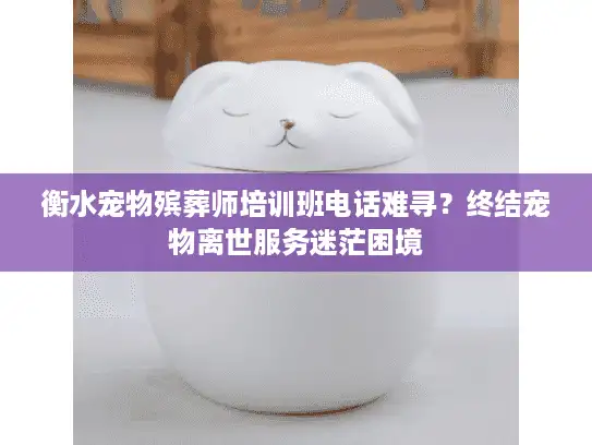 衡水宠物殡葬师培训班电话难寻？终结宠物离世服务迷茫困境
