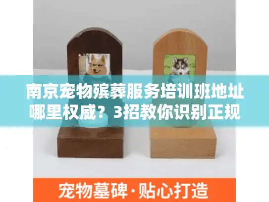 南京宠物殡葬服务培训班地址哪里权威？3招教你识别正规机构
