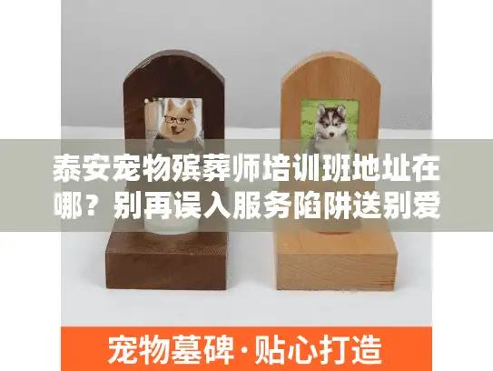 泰安宠物殡葬师培训班地址在哪？别再误入服务陷阱送别爱宠