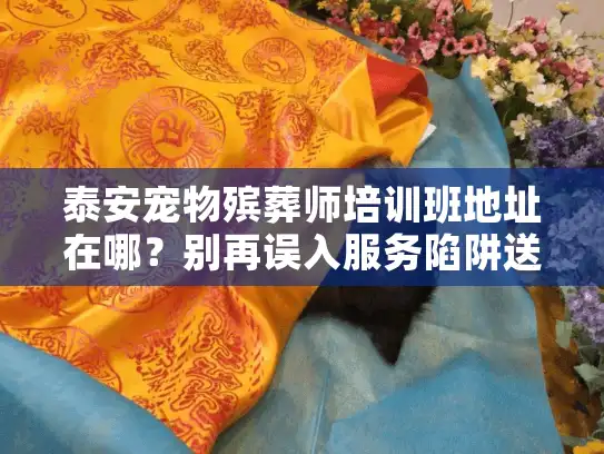 泰安宠物殡葬师培训班地址在哪？别再误入服务陷阱送别爱宠