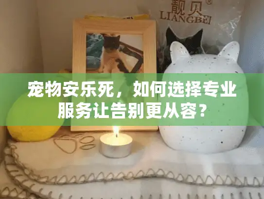 宠物安乐死，如何选择专业服务让告别更从容？