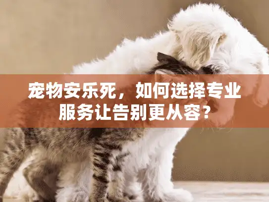 宠物安乐死，如何选择专业服务让告别更从容？