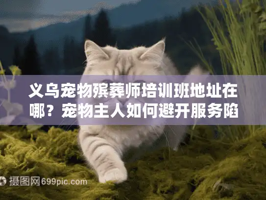 义乌宠物殡葬师培训班地址在哪？宠物主人如何避开服务陷阱