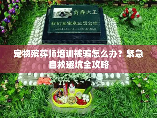 宠物殡葬师培训被骗怎么办？紧急自救避坑全攻略