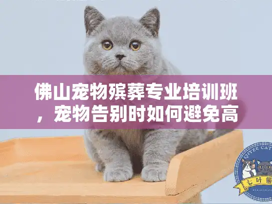 佛山宠物殡葬专业培训班，宠物告别时如何避免高价陷阱？