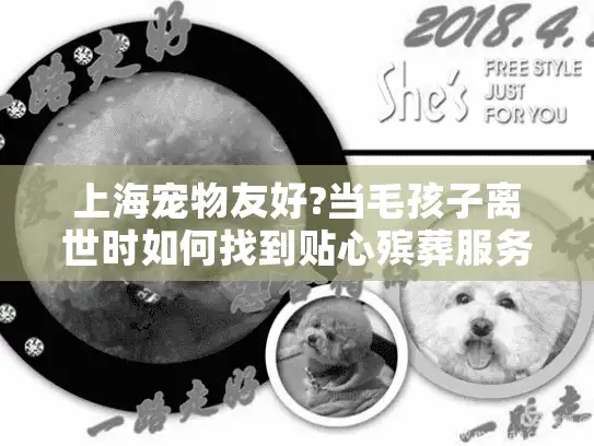 上海宠物友好?当毛孩子离世时如何找到贴心殡葬服务？