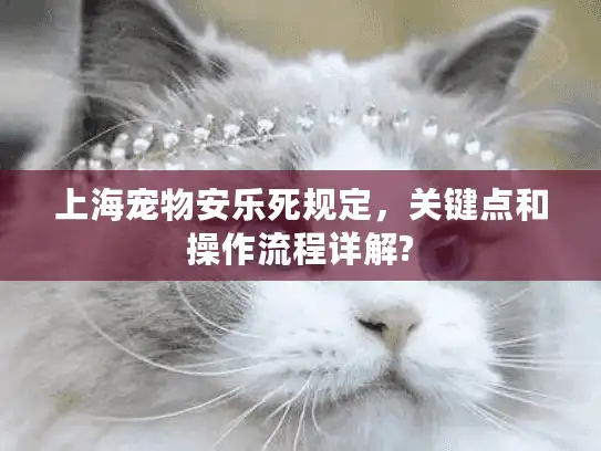 上海宠物安乐死规定，关键点和操作流程详解?