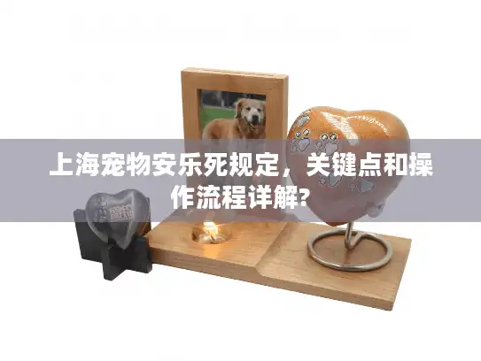 上海宠物安乐死规定，关键点和操作流程详解?