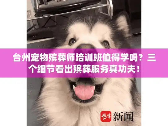 台州宠物殡葬师培训班值得学吗？三个细节看出殡葬服务真功夫！