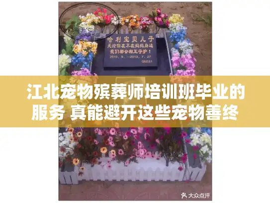 江北宠物殡葬师培训班毕业的服务 真能避开这些宠物善终陷阱吗？