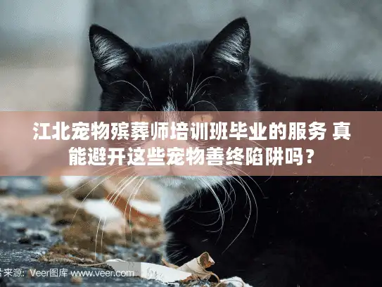 江北宠物殡葬师培训班毕业的服务 真能避开这些宠物善终陷阱吗？