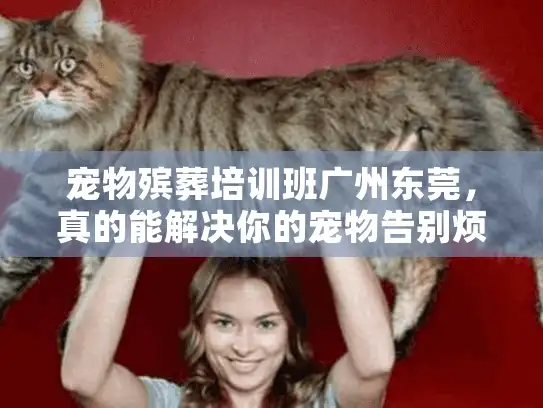 宠物殡葬培训班广州东莞，真的能解决你的宠物告别烦恼吗？