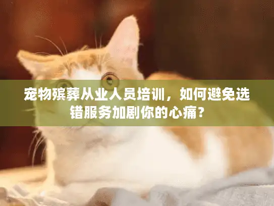 宠物殡葬从业人员培训，如何避免选错服务加剧你的心痛？