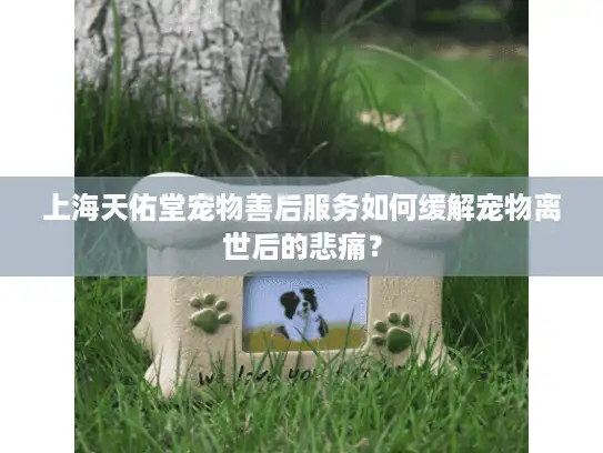 上海天佑堂宠物善后服务如何缓解宠物离世后的悲痛？
