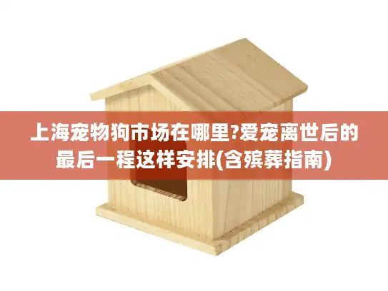 上海宠物狗市场在哪里?爱宠离世后的最后一程这样安排(含殡葬指南)