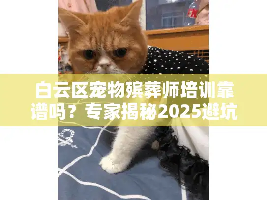 白云区宠物殡葬师培训靠谱吗？专家揭秘2025避坑攻略