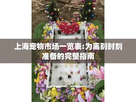上海宠物市场一览表:为离别时刻准备的完整指南