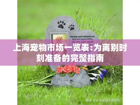 上海宠物市场一览表:为离别时刻准备的完整指南