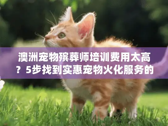 澳洲宠物殡葬师培训费用太高？5步找到实惠宠物火化服务的诀窍