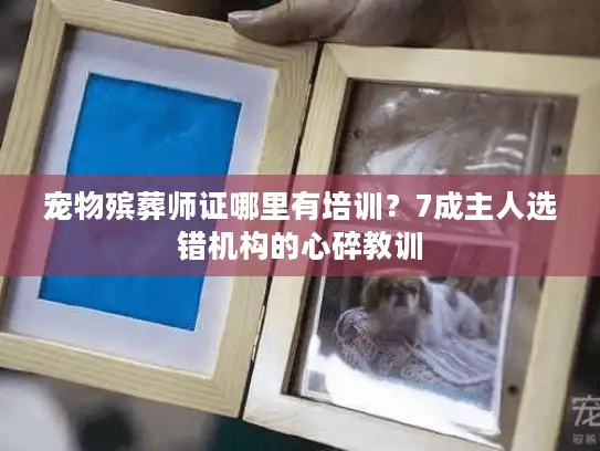 宠物殡葬师证哪里有培训？7成主人选错机构的心碎教训