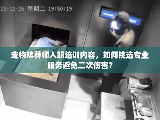 宠物殡葬师入职培训内容，如何挑选专业服务避免二次伤害？