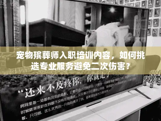 宠物殡葬师入职培训内容，如何挑选专业服务避免二次伤害？