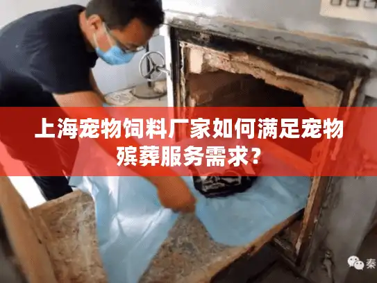 上海宠物饲料厂家如何满足宠物殡葬服务需求？