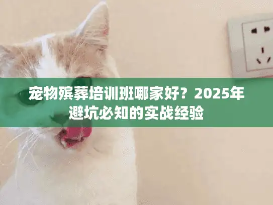 宠物殡葬培训班哪家好？2025年避坑必知的实战经验