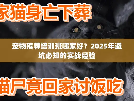 宠物殡葬培训班哪家好？2025年避坑必知的实战经验