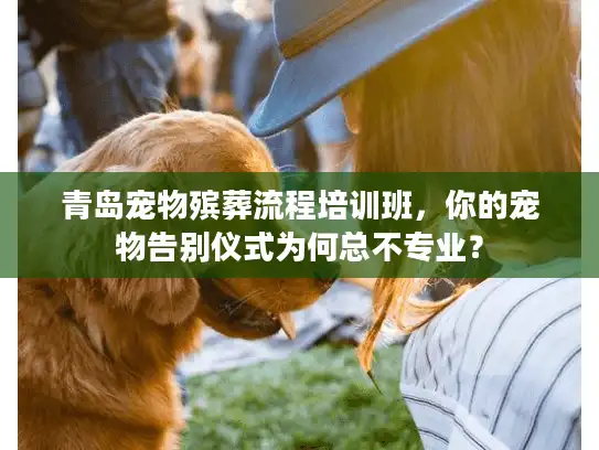 青岛宠物殡葬流程培训班，你的宠物告别仪式为何总不专业？