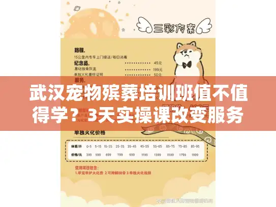 武汉宠物殡葬培训班值不值得学？3天实操课改变服务困局