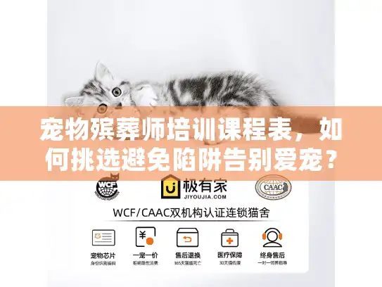 宠物殡葬师培训课程表，如何挑选避免陷阱告别爱宠？