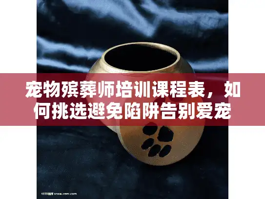 宠物殡葬师培训课程表，如何挑选避免陷阱告别爱宠？