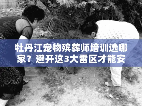 牡丹江宠物殡葬师培训选哪家？避开这3大雷区才能安心送别爱宠