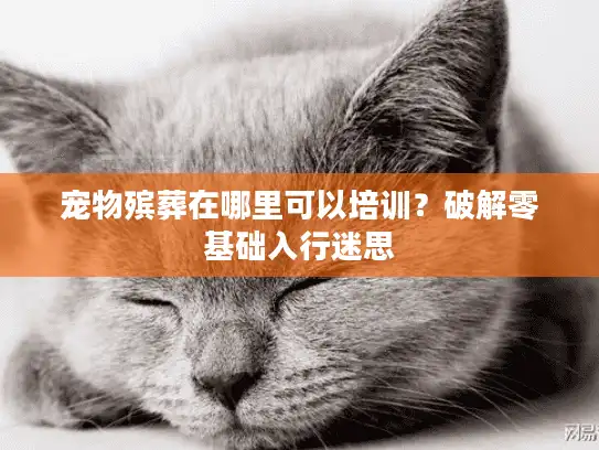 宠物殡葬在哪里可以培训？破解零基础入行迷思