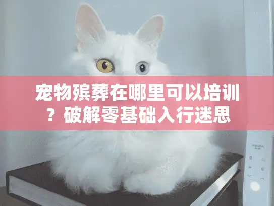 宠物殡葬在哪里可以培训？破解零基础入行迷思