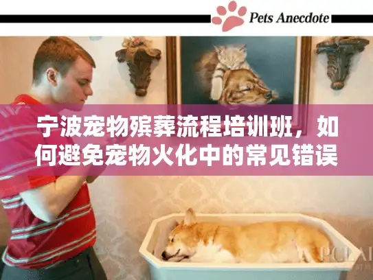 宁波宠物殡葬流程培训班，如何避免宠物火化中的常见错误？
