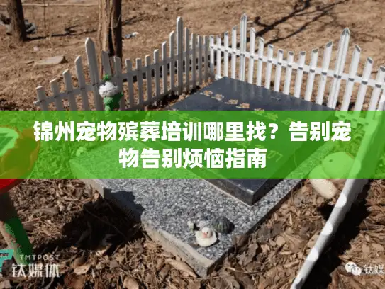 锦州宠物殡葬培训哪里找？告别宠物告别烦恼指南