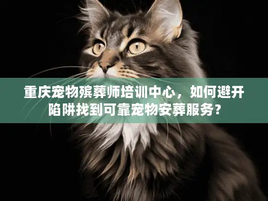 重庆宠物殡葬师培训中心，如何避开陷阱找到可靠宠物安葬服务？